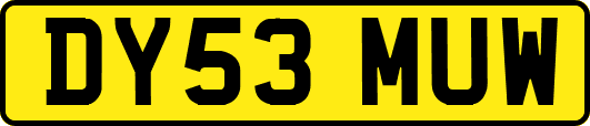 DY53MUW