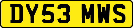 DY53MWS
