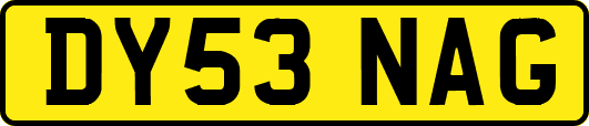 DY53NAG