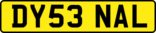 DY53NAL