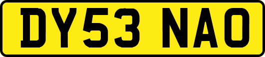 DY53NAO