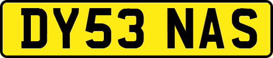 DY53NAS