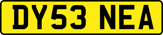 DY53NEA