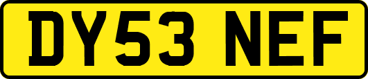 DY53NEF