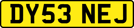 DY53NEJ