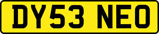 DY53NEO
