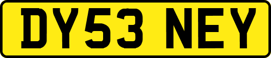 DY53NEY