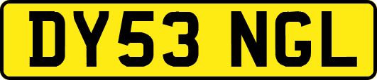 DY53NGL