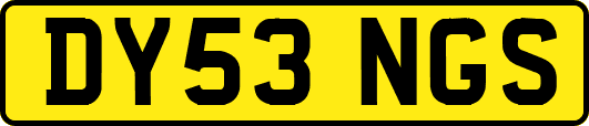 DY53NGS