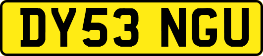DY53NGU