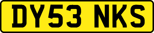 DY53NKS