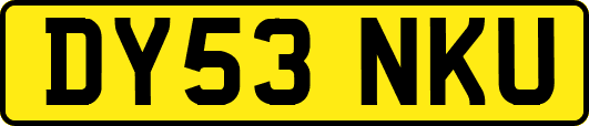 DY53NKU