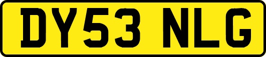 DY53NLG