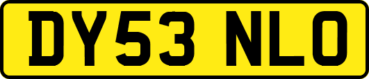 DY53NLO