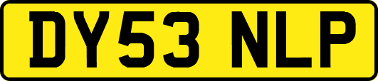 DY53NLP