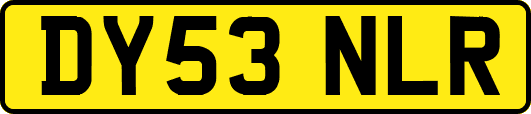 DY53NLR