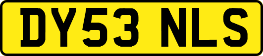DY53NLS