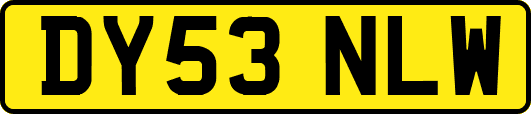 DY53NLW