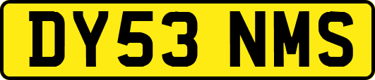 DY53NMS
