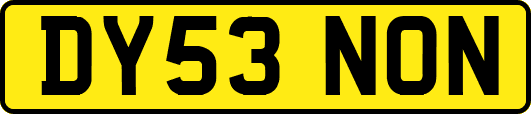 DY53NON