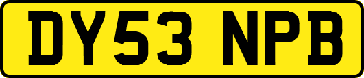 DY53NPB