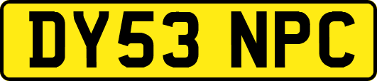 DY53NPC