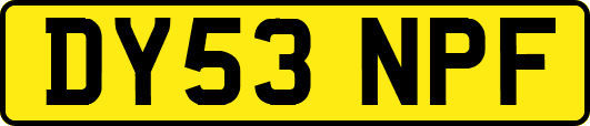 DY53NPF