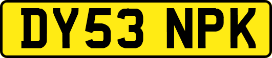 DY53NPK