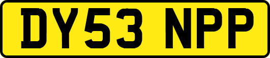 DY53NPP