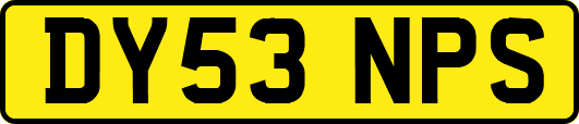 DY53NPS