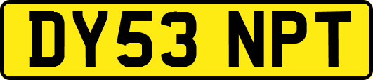 DY53NPT