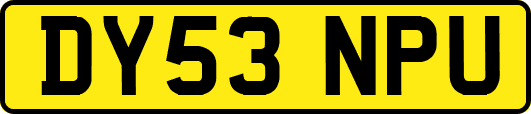 DY53NPU