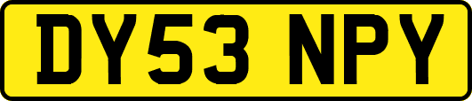 DY53NPY