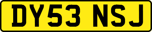 DY53NSJ