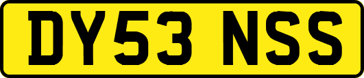 DY53NSS
