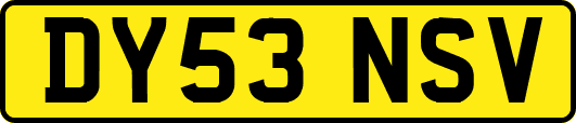 DY53NSV