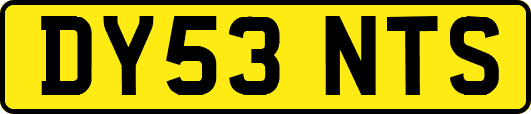 DY53NTS