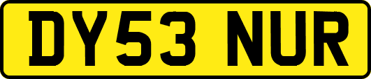 DY53NUR