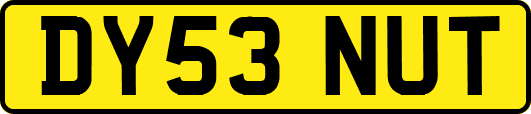 DY53NUT