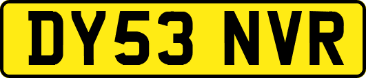 DY53NVR
