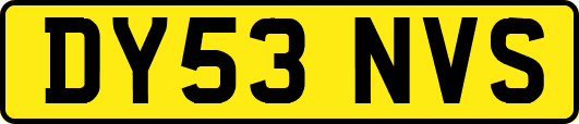 DY53NVS