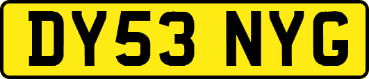DY53NYG