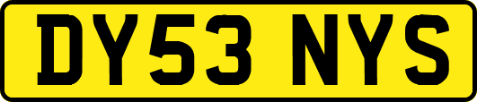 DY53NYS