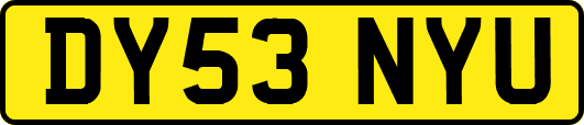 DY53NYU