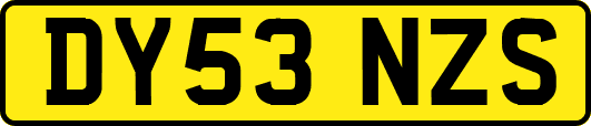 DY53NZS