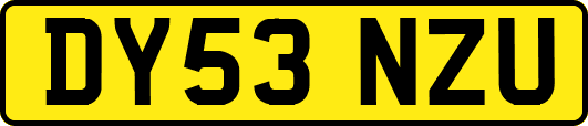 DY53NZU