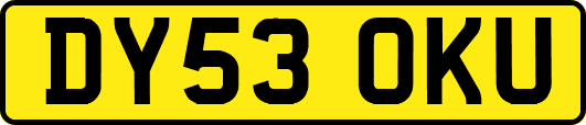 DY53OKU