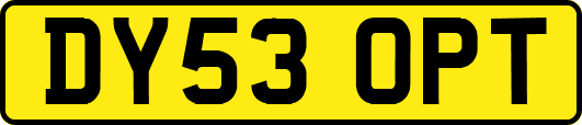 DY53OPT
