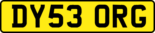 DY53ORG