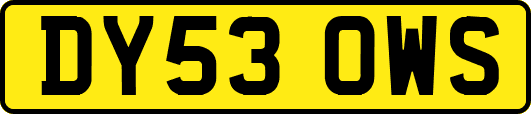 DY53OWS